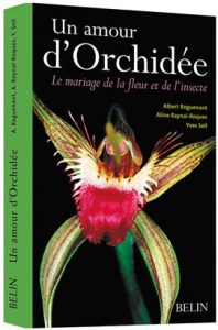 amour d'orchidee