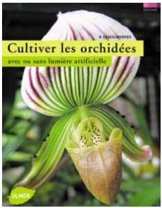 cultiver orchid