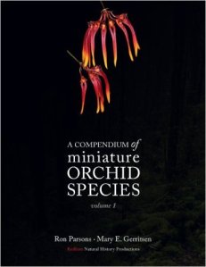 miniature-orchid-volume-1