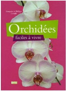 orchidee facile a vivre
