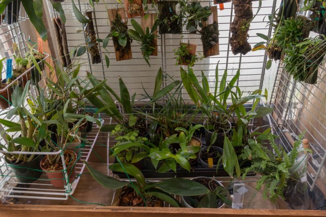 2017-february-vivarium-3-3644