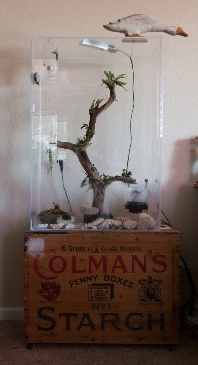 2017-July-small vivarium full view-6778